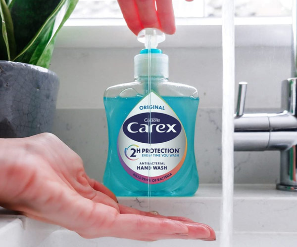 Carex